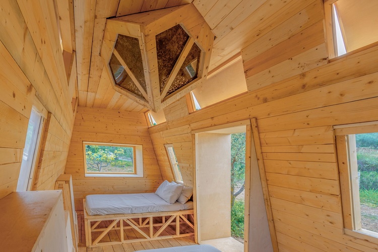 Unik! Penginapan di Italia Tawarkan Tidur Bareng Sejuta Lebah